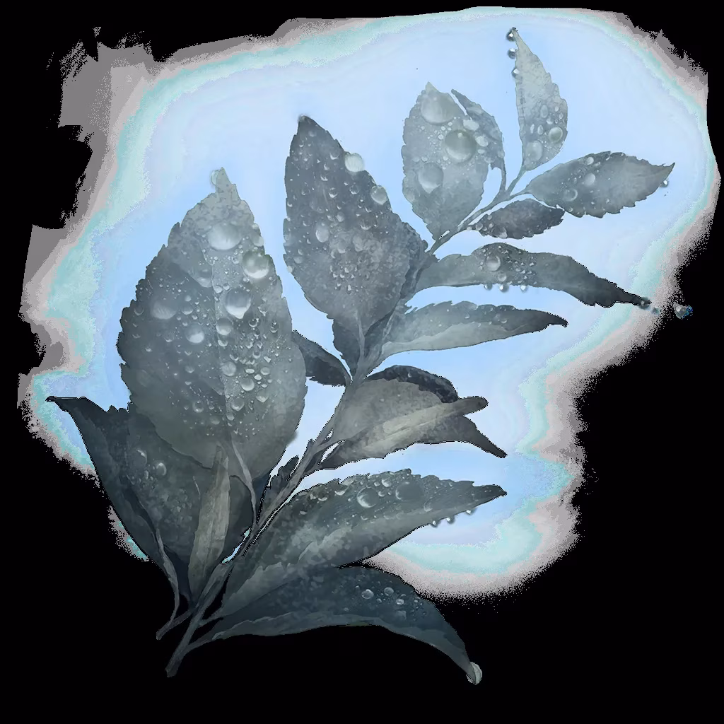 my-desperate-struggle-conquering-elden-ring-s-lake-of-rot-image-1